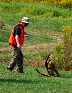 Stew Tardiff pup prey drive_DSC2480.jpg